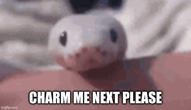 CHARM ME NEXT PLEASE | made w/ Imgflip meme maker