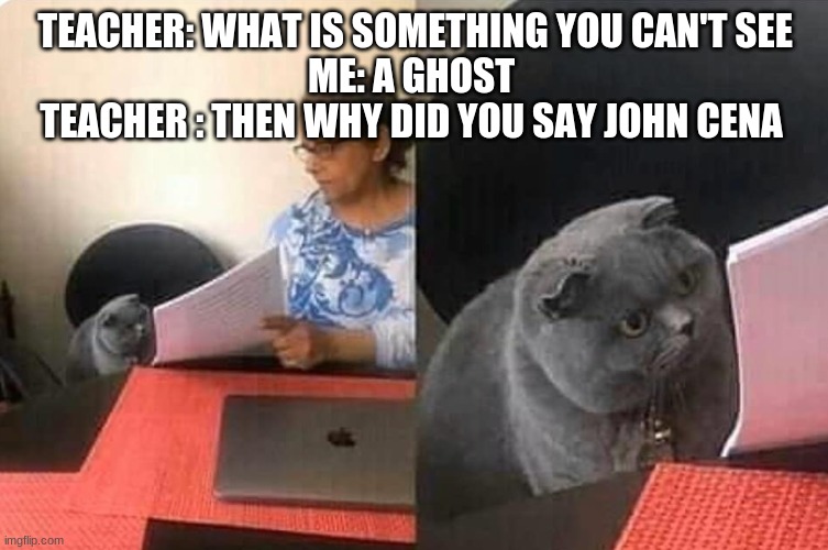 Cat teacher | TEACHER: WHAT IS SOMETHING YOU CAN'T SEE
ME: A GHOST 
TEACHER : THEN WHY DID YOU SAY JOHN CENA | image tagged in cat teacher | made w/ Imgflip meme maker