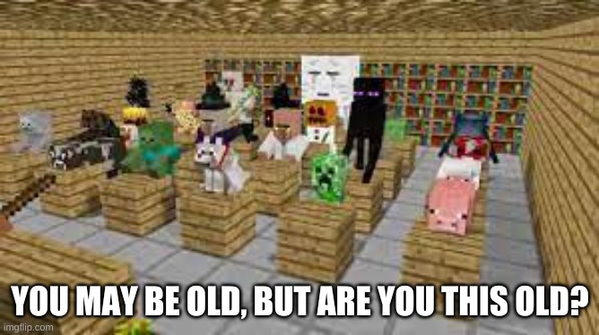 you think your old? | YOU MAY BE OLD, BUT ARE YOU THIS OLD? | image tagged in minecraft,old,memory,the good old days | made w/ Imgflip meme maker