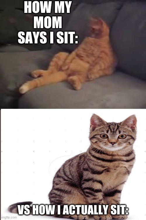 my postrure is not that bad!...right?... 0-0'''''(also early post) | HOW MY MOM SAYS I SIT:; VS HOW I ACTUALLY SIT: | image tagged in cat,lol,stonks helth | made w/ Imgflip meme maker