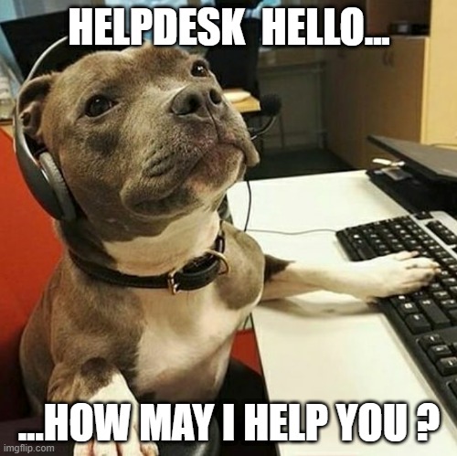 pit bull tech support | HELPDESK  HELLO... ...HOW MAY I HELP YOU ? | image tagged in pit bull tech support | made w/ Imgflip meme maker