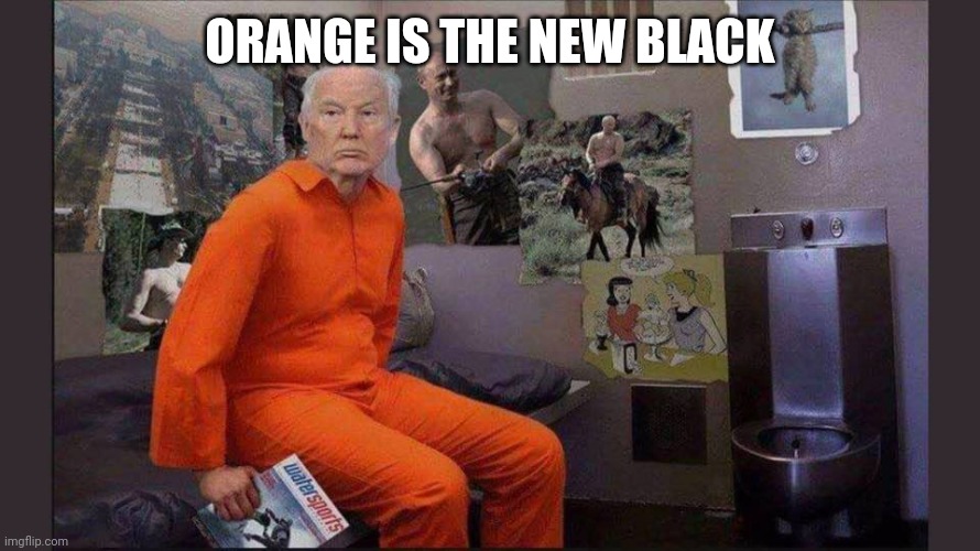 Trump jail cell | ORANGE IS THE NEW BLACK | image tagged in trump jail cell | made w/ Imgflip meme maker