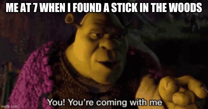 Hehe | ME AT 7 WHEN I FOUND A STICK IN THE WOODS | image tagged in shrek your coming with me,memes,funny,funny memes | made w/ Imgflip meme maker