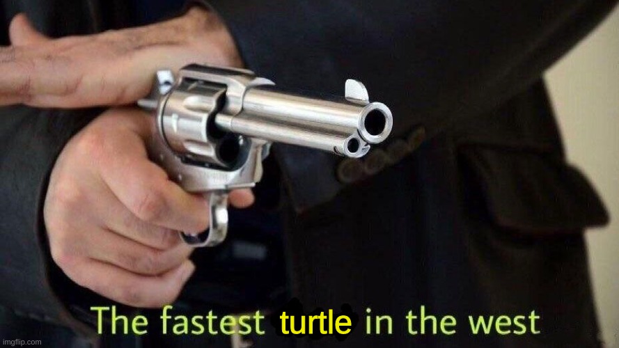 fastest draw | turtle | image tagged in fastest draw | made w/ Imgflip meme maker