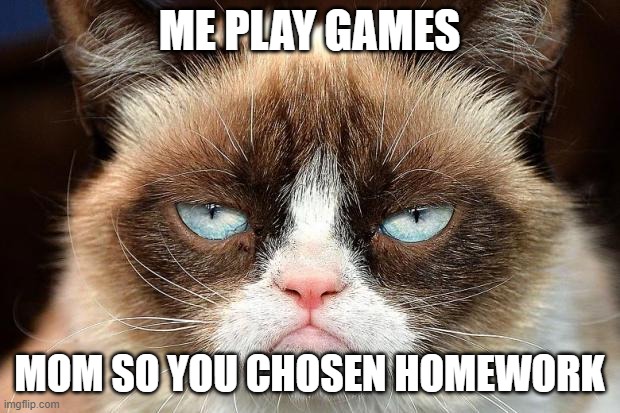 Grumpy Cat Not Amused Meme | ME PLAY GAMES; MOM SO YOU CHOSEN HOMEWORK | image tagged in memes,grumpy cat not amused,grumpy cat | made w/ Imgflip meme maker