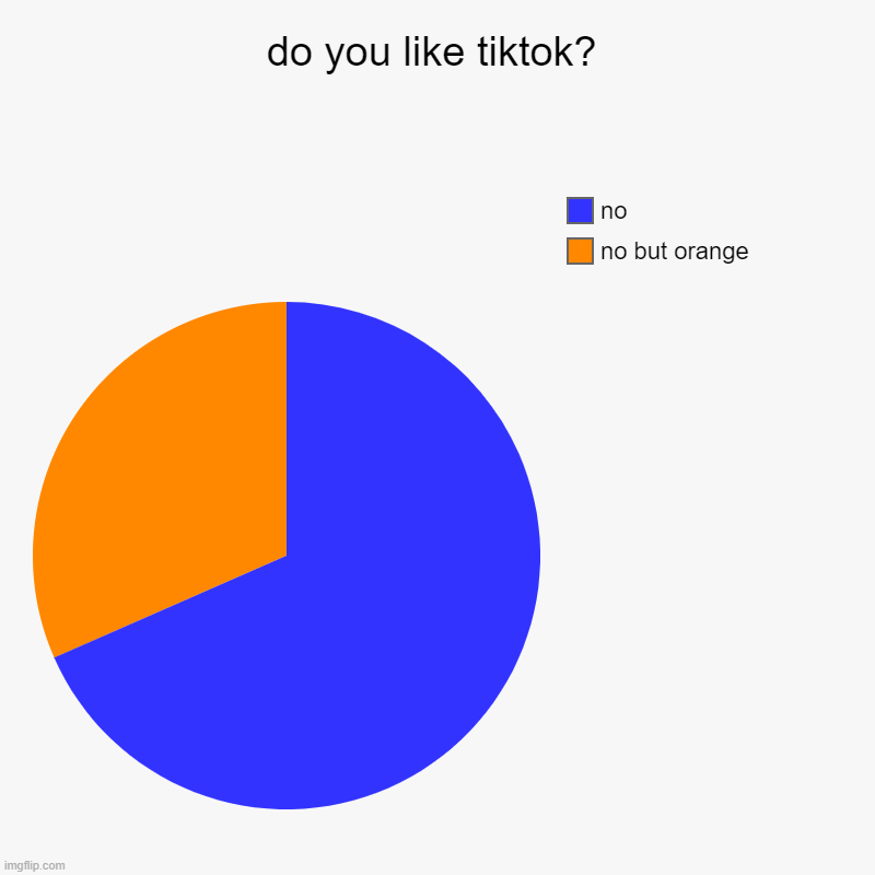 N O | do you like tiktok? | no but orange, no | image tagged in charts,pie charts | made w/ Imgflip chart maker