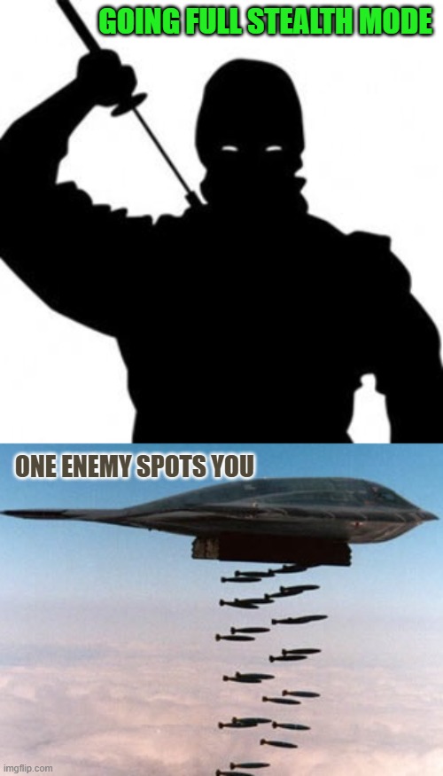 Stealth Mishaps | GOING FULL STEALTH MODE; ONE ENEMY SPOTS YOU | image tagged in ninja,stealth bomber,stealth,video games,quiet,lol | made w/ Imgflip meme maker