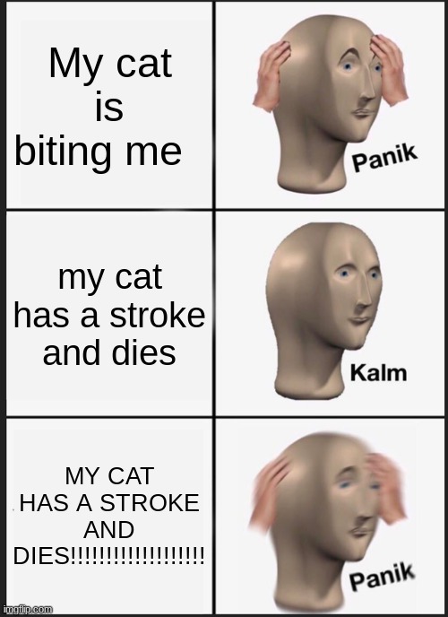 no cat no | My cat is biting me; my cat has a stroke and dies; MY CAT HAS A STROKE AND DIES!!!!!!!!!!!!!!!!!!! | image tagged in memes,panik kalm panik | made w/ Imgflip meme maker
