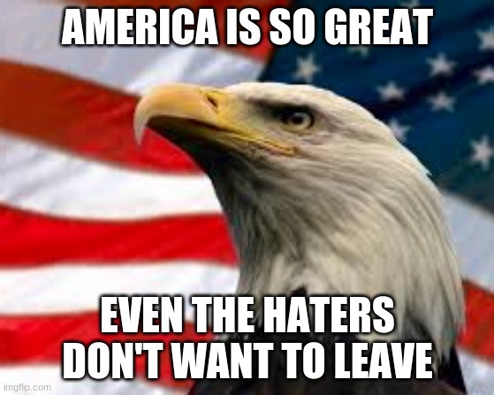 Deep down, the haters love this place. | AMERICA IS SO GREAT; EVEN THE HATERS DON'T WANT TO LEAVE | image tagged in murica patriotic eagle,patriotic,haters gonna hate | made w/ Imgflip meme maker
