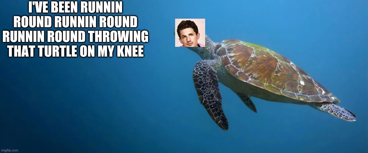 I'VE BEEN RUNNIN ROUND RUNNIN ROUND RUNNIN ROUND THROWING THAT TURTLE ON MY KNEE | image tagged in lol | made w/ Imgflip meme maker