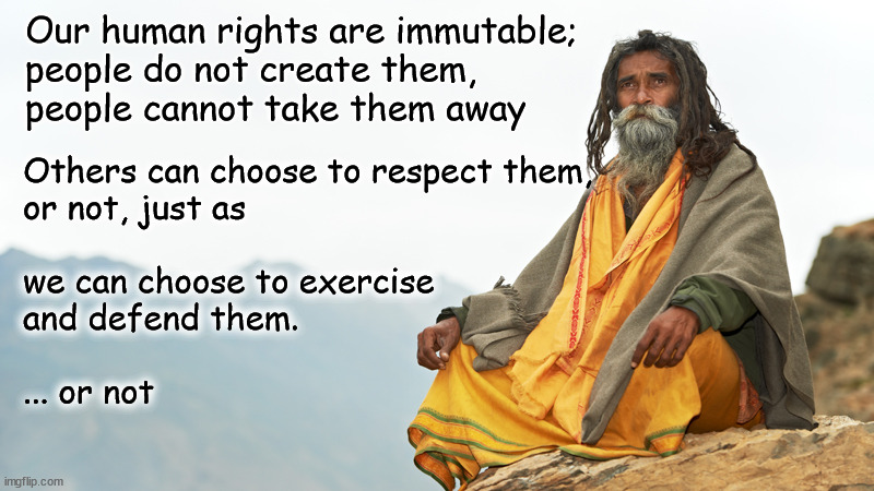 Human rights are immutable, not invulnerable | Our human rights are immutable;
people do not create them,
people cannot take them away; Others can choose to respect them,
or not, just as 
 
we can choose to exercise
and defend them.
 
... or not | image tagged in human rights | made w/ Imgflip meme maker