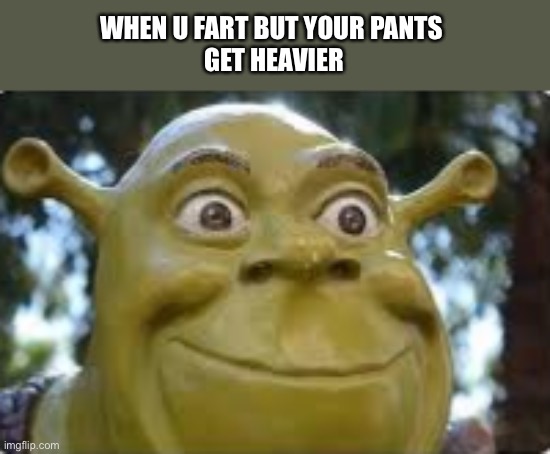 And I oop | WHEN U FART BUT YOUR PANTS 
GET HEAVIER | image tagged in shrek,fart,shart | made w/ Imgflip meme maker
