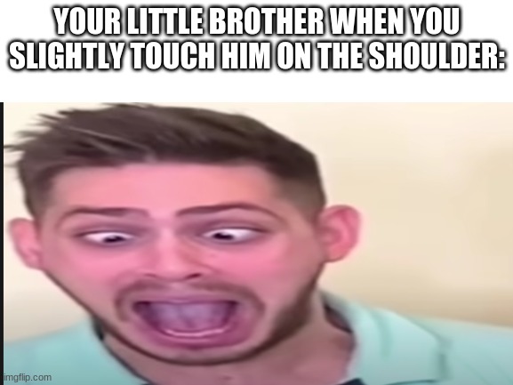 AAAAAAAAAAAAAAAA | YOUR LITTLE BROTHER WHEN YOU SLIGHTLY TOUCH HIM ON THE SHOULDER: | image tagged in memes | made w/ Imgflip meme maker