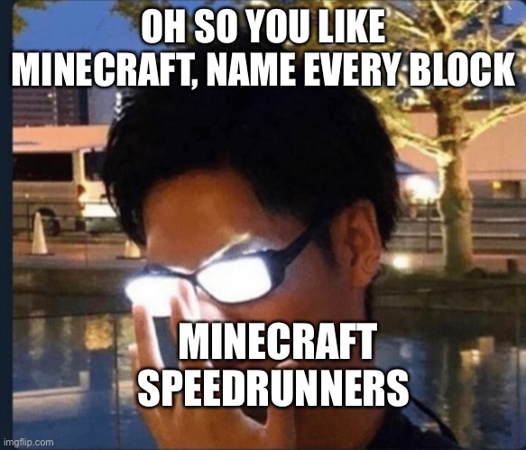 Every Minecraft Speedrunners | OH SO YOU LIKE MINECRAFT, NAME EVERY BLOCK; MINECRAFT SPEEDRUNNERS | image tagged in anime glasses | made w/ Imgflip meme maker