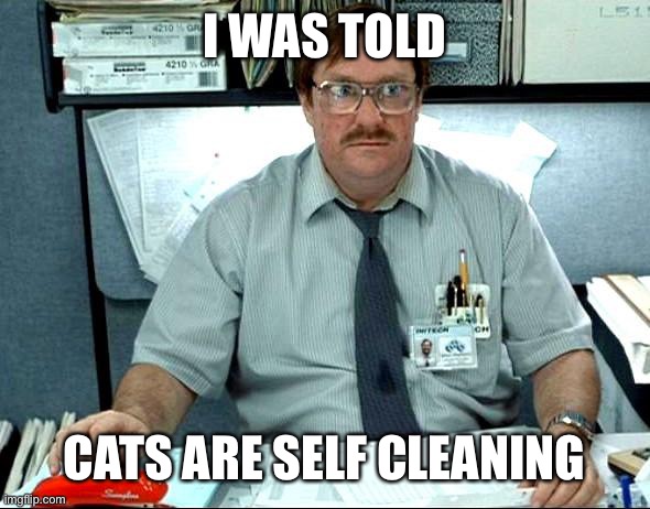 I Was Told There Would Be Meme | I WAS TOLD CATS ARE SELF CLEANING | image tagged in memes,i was told there would be | made w/ Imgflip meme maker