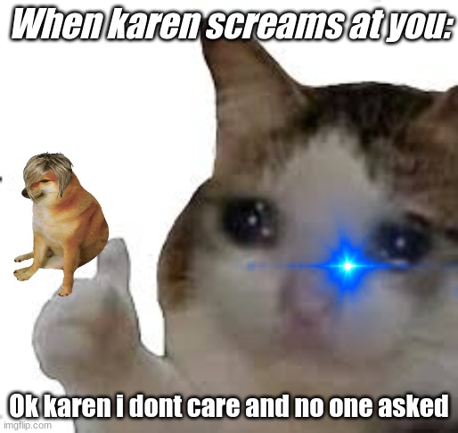 When karen screams at you : | When karen screams at you:; Ok karen i dont care and no one asked | image tagged in sad cat thumbs up,karen | made w/ Imgflip meme maker