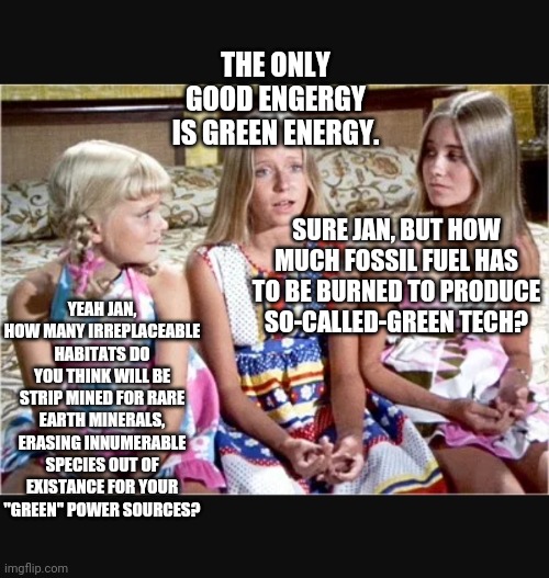 Nobody gives a x | THE ONLY GOOD ENGERGY IS GREEN ENERGY. SURE JAN, BUT HOW MUCH FOSSIL FUEL HAS TO BE BURNED TO PRODUCE SO-CALLED-GREEN TECH? YEAH JAN, HOW MA | image tagged in nobody gives a x | made w/ Imgflip meme maker