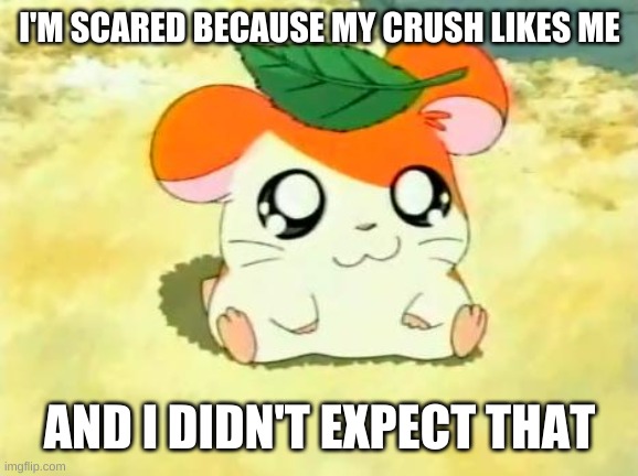 Hamtaro Meme | I'M SCARED BECAUSE MY CRUSH LIKES ME AND I DIDN'T EXPECT THAT | image tagged in memes,hamtaro | made w/ Imgflip meme maker