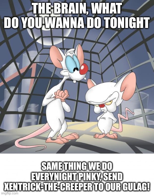 Pinky and the brain | THE BRAIN, WHAT DO YOU WANNA DO TONIGHT; SAME THING WE DO EVERYNIGHT PINKY, SEND XENTRICK-THE-CREEPER TO OUR GULAG! | image tagged in pinky and the brain,gulag,communist,soviet union | made w/ Imgflip meme maker