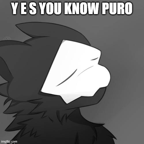 Puro satsified | Y E S YOU KNOW PURO | image tagged in puro satsified | made w/ Imgflip meme maker