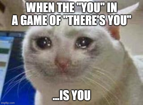 Sad cat | WHEN THE "YOU" IN A GAME OF "THERE'S YOU"; ...IS YOU | image tagged in sad cat | made w/ Imgflip meme maker