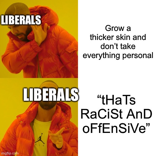 Drake Hotline Bling | LIBERALS; Grow a thicker skin and don’t take everything personal; LIBERALS; “tHaTs RaCiSt AnD oFfEnSiVe” | image tagged in memes,drake hotline bling | made w/ Imgflip meme maker