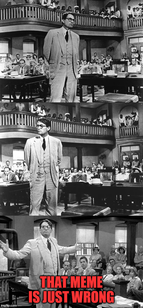 To Kill a Mockingbird | THAT MEME IS JUST WRONG | image tagged in to kill a mockingbird | made w/ Imgflip meme maker