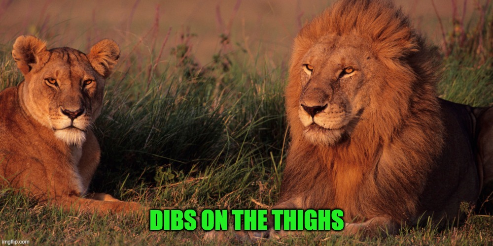 DIBS ON THE THIGHS | made w/ Imgflip meme maker