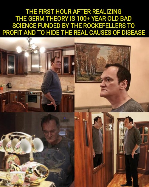 Trsearch terrain theory | THE FIRST HOUR AFTER REALIZING THE GERM THEORY IS 100+ YEAR OLD BAD SCIENCE FUNDED BY THE ROCKEFELLERS TO PROFIT AND TO HIDE THE REAL CAUSES OF DISEASE | image tagged in quentin tarantino what is life,germ theory,rockefeller medicine,vaccine | made w/ Imgflip meme maker
