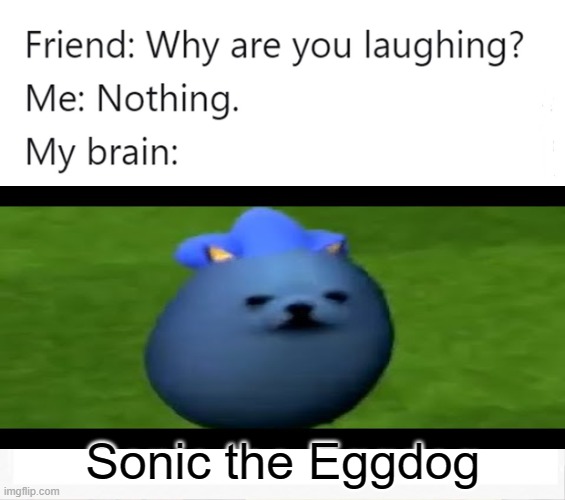 Sonic the Eggdog gotta commit run speed | Sonic the Eggdog | image tagged in why are you laughing | made w/ Imgflip meme maker