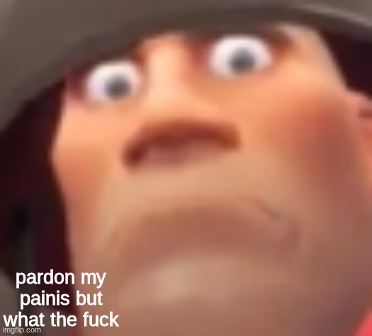 pardon my painis but what the fuck | made w/ Imgflip meme maker