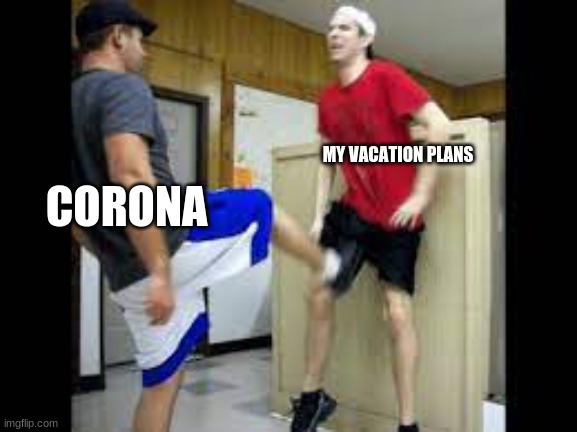 comment if you agree. no upvotes plz | CORONA; MY VACATION PLANS | image tagged in groin shot | made w/ Imgflip meme maker