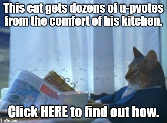 This cat gets dozens of u-pvotes from the comfort of his kitchen. Click HERE to find out how. | image tagged in memes,i should buy a boat cat | made w/ Imgflip meme maker