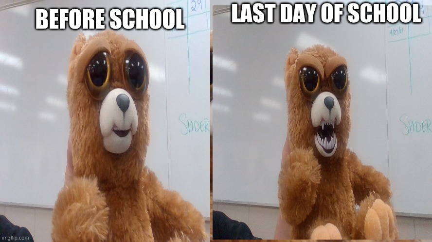 yes this is true | LAST DAY OF SCHOOL; BEFORE SCHOOL | image tagged in true funny fistey pet | made w/ Imgflip meme maker
