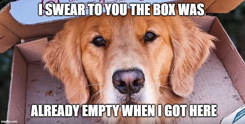 I SWEAR TO YOU THE BOX WAS; ALREADY EMPTY WHEN I GOT HERE | image tagged in dog,pizza | made w/ Imgflip meme maker