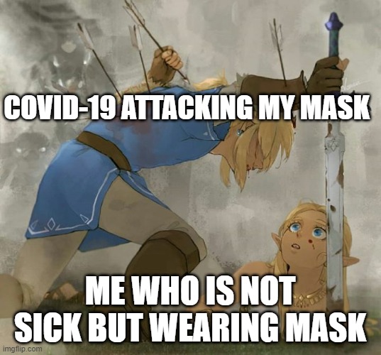 Link and zelda | COVID-19 ATTACKING MY MASK; ME WHO IS NOT SICK BUT WEARING MASK | image tagged in link and zelda | made w/ Imgflip meme maker