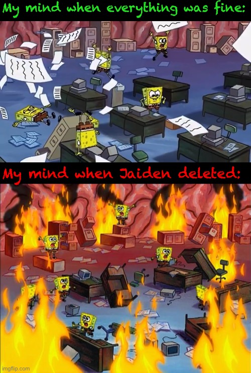 I’m still worried | My mind when everything was fine:; My mind when Jaiden deleted: | image tagged in spongebob paper,spongebob fire | made w/ Imgflip meme maker