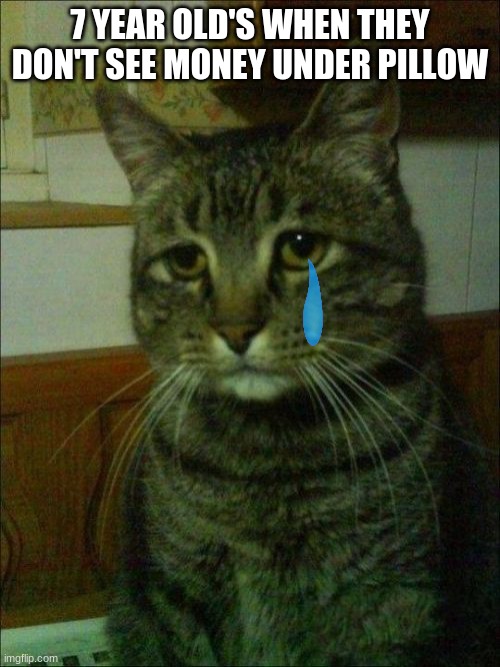 Depressed Cat | 7 YEAR OLD'S WHEN THEY DON'T SEE MONEY UNDER PILLOW | image tagged in memes,depressed cat | made w/ Imgflip meme maker