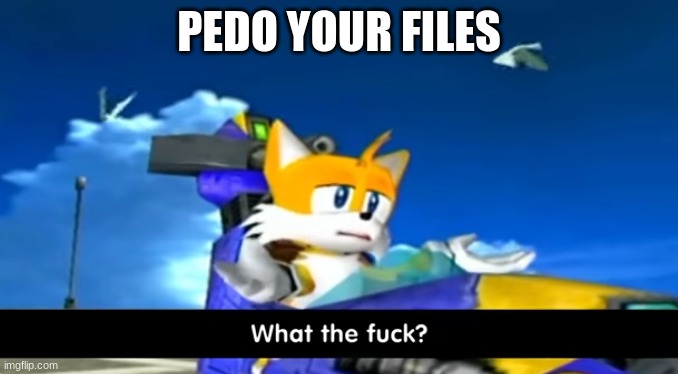 pedo your files | PEDO YOUR FILES | image tagged in tails wtf,memes,funny | made w/ Imgflip meme maker