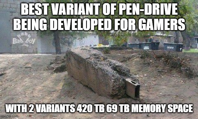 largest pendrive on the planet | BEST VARIANT OF PEN-DRIVE BEING DEVELOPED FOR GAMERS; WITH 2 VARIANTS 420 TB 69 TB MEMORY SPACE | image tagged in largest pendrive on the planet | made w/ Imgflip meme maker