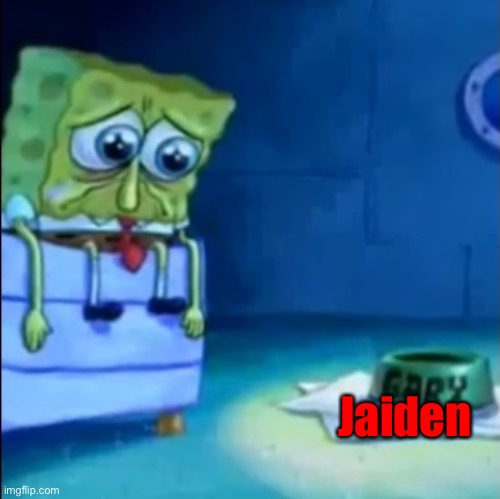 I’m gonna take a little break.. just to cry | Jaiden | image tagged in gary come home | made w/ Imgflip meme maker