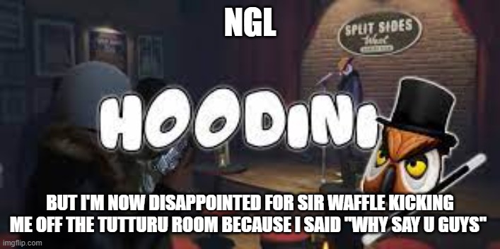 in* not for, ffs. | NGL; BUT I'M NOW DISAPPOINTED FOR SIR WAFFLE KICKING ME OFF THE TUTTURU ROOM BECAUSE I SAID "WHY SAY U GUYS" | image tagged in hoodini | made w/ Imgflip meme maker