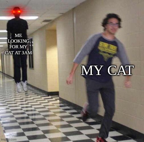 ma katt | ME LOOKING FOR MY CAT AT 3AM; MY CAT | image tagged in floating boy chasing running boy,help,3am,memes | made w/ Imgflip meme maker