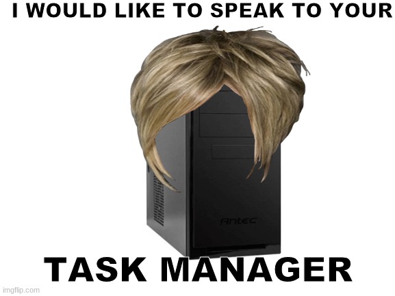 The karens of generation computers | I WOULD LIKE TO SPEAK TO YOUR; TASK MANAGER | image tagged in memes,random,funny,karen | made w/ Imgflip meme maker