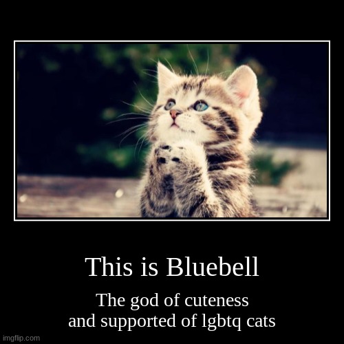 be like bluebell | image tagged in funny,demotivationals,bluebell,god of cuteness,lgbtq,cats | made w/ Imgflip demotivational maker