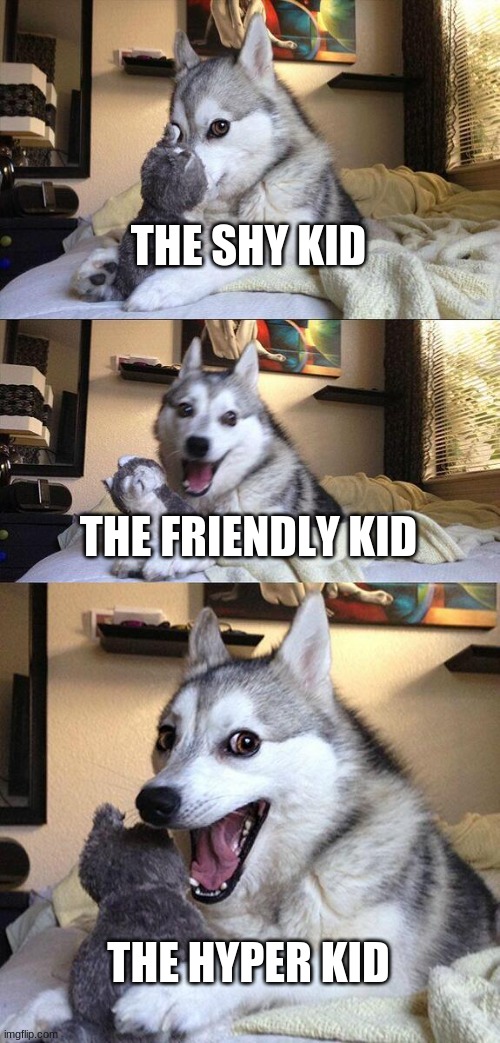 Bad Pun Dog Meme | THE SHY KID; THE FRIENDLY KID; THE HYPER KID | image tagged in memes,bad pun dog | made w/ Imgflip meme maker