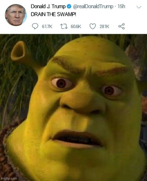 ...? | image tagged in shrek | made w/ Imgflip meme maker