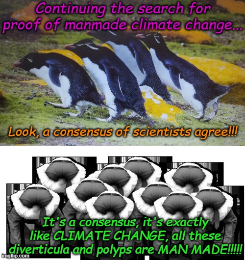 In this ever changing world, scientists agree that climate never changes........ | Continuing the search for proof of manmade climate change... Look, a consensus of scientists agree!!! It's a consensus, it's exactly like CLIMATE CHANGE, all these diverticula and polyps are MAN MADE!!!!! | image tagged in in search of,head up ass | made w/ Imgflip meme maker