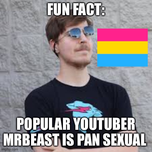 mrbeast |  FUN FACT:; POPULAR YOUTUBER MRBEAST IS PAN SEXUAL | image tagged in mrbeast | made w/ Imgflip meme maker