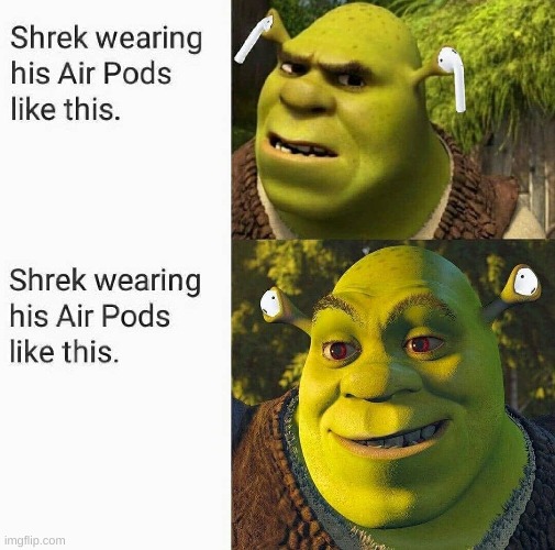 shrek got the drip | image tagged in memes,shrek | made w/ Imgflip meme maker